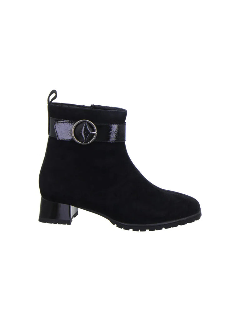ARA Gloucester 12-20012-01 Noir - Dealorys