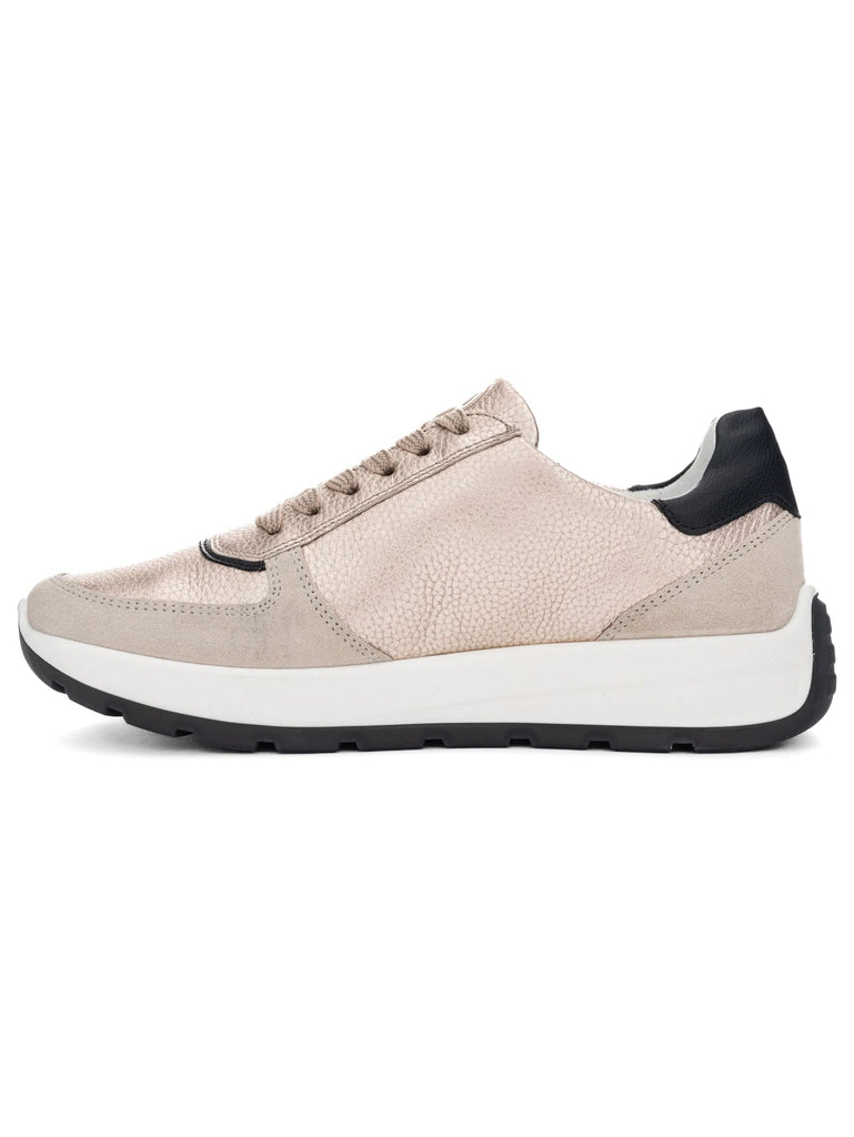 ARA Nagano New York 12-25112-08 Sand/Shell - Dealorys