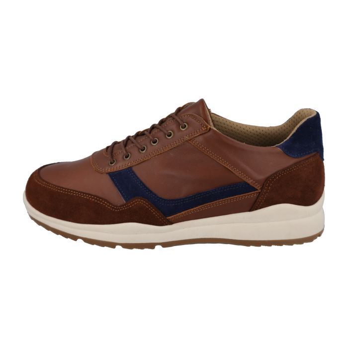 DB Shoes BENEDICT 80240T Tan/Navy - Dealorys