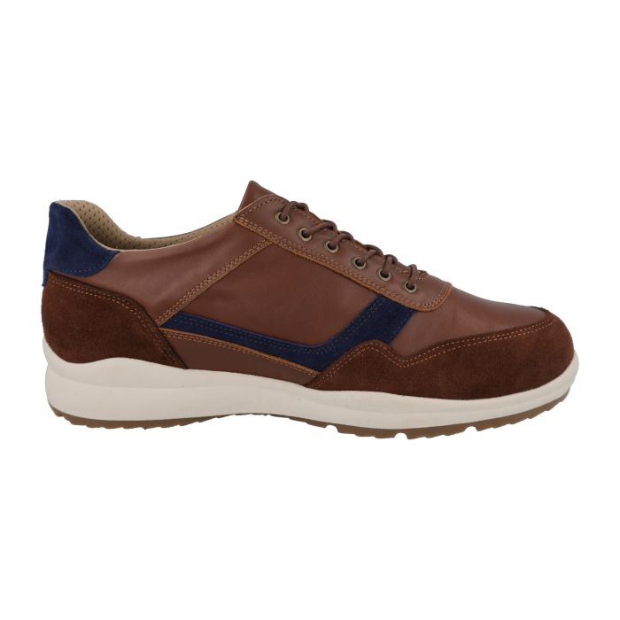 DB Shoes BENEDICT 80240T Tan/Navy - Dealorys