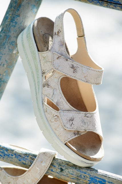 DB Shoes FLUTTER 78857H Cream - Dealorys