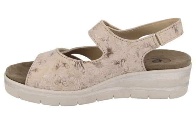DB Shoes FLUTTER 78857H Cream - Dealorys