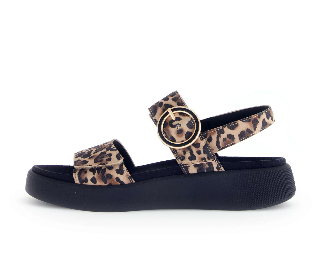 Gabor 62.863.90 Nature - Dealorys