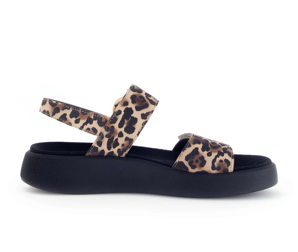 Gabor 62.863.90 Nature - Dealorys