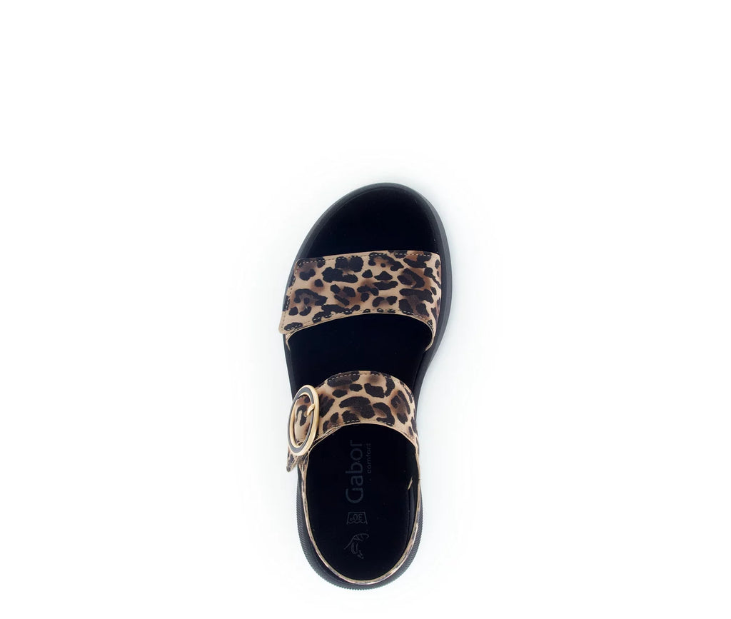Gabor 62.863.90 Nature - Dealorys