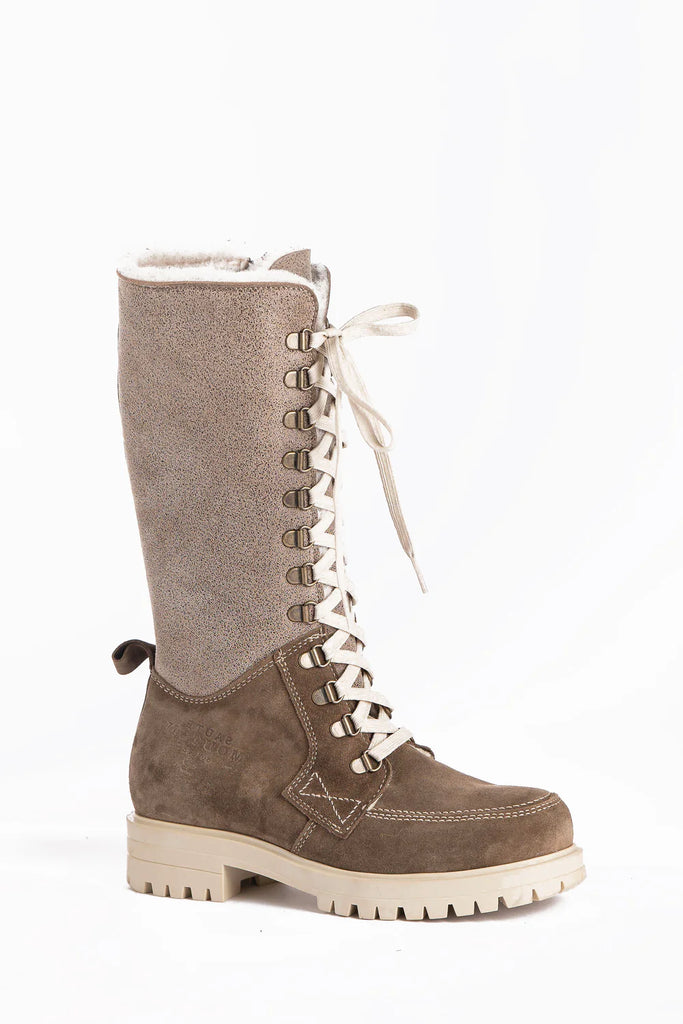 Saute-Mouton ALBYNA 2679 Taupe - Icona - Dealorys