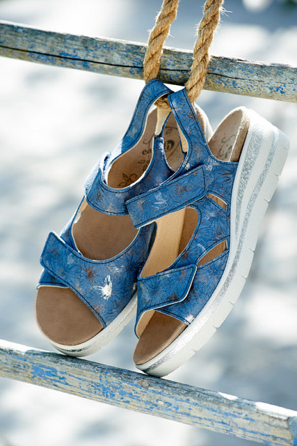 DB Shoes FLUTTER 78857N Bleu - Dealorys